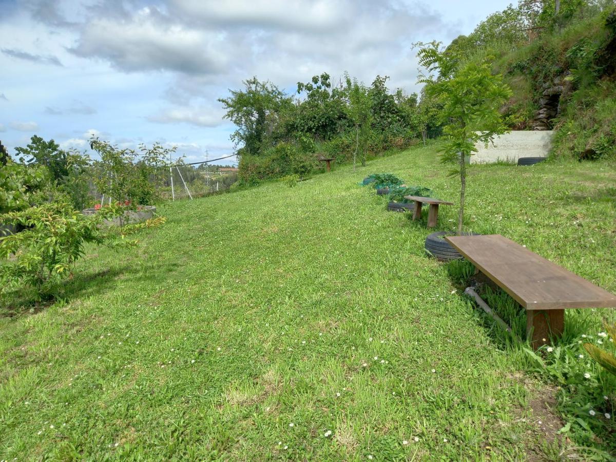 Cabanelas Holiday home Vale de Cambra